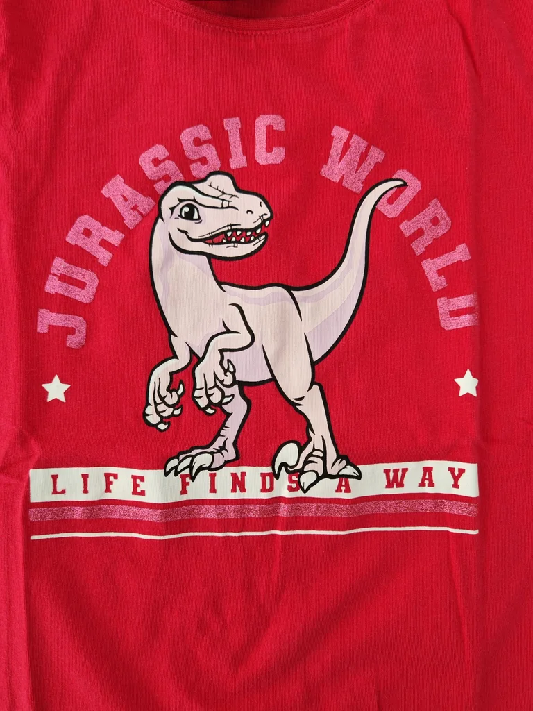 Camiseta de 10 años – photo 2